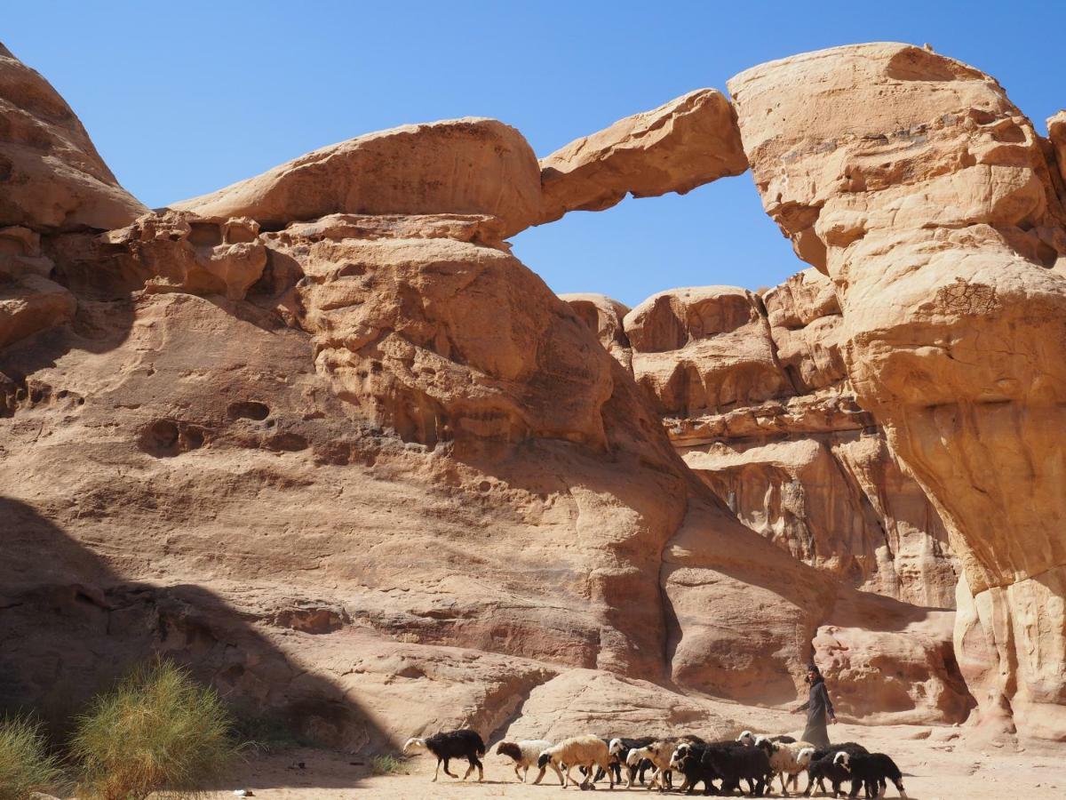 Martian Desert Camp Wadi Rum Exterior photo